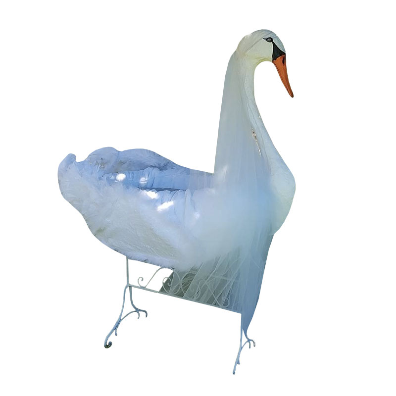 800x800 cygne
