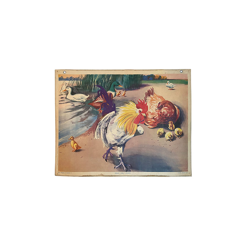 800x800affichevintage