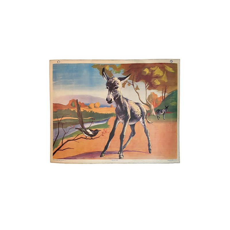 800x800affichevintageanimaux