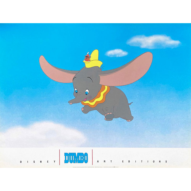 800x800-dumbo-0
