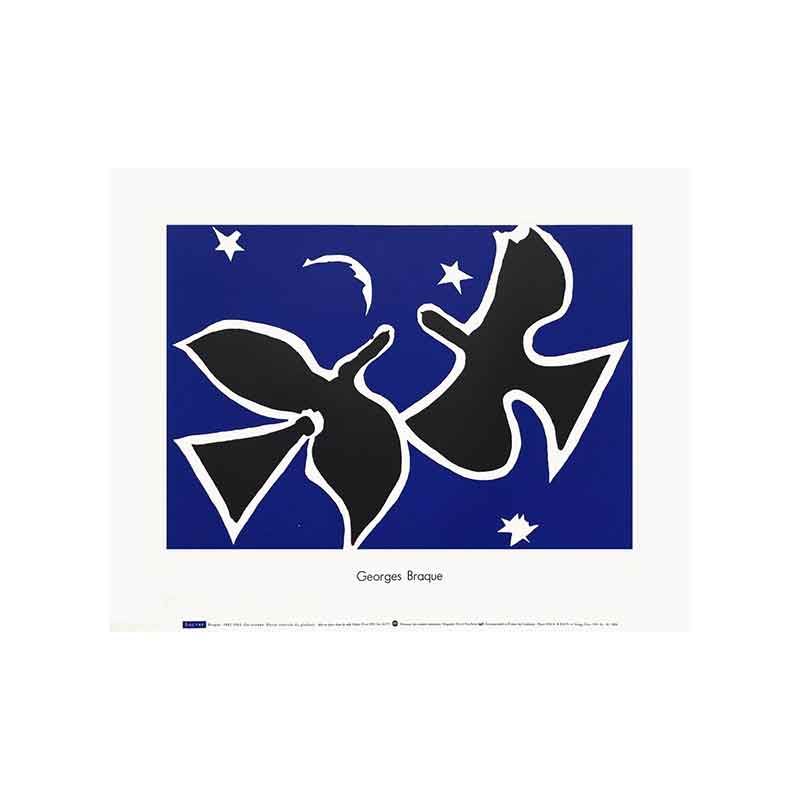 800x800-affiche-les-oiseaux-0